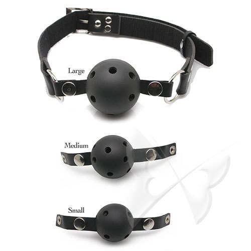 Fetish Fantasy Series Ball Gag Training System