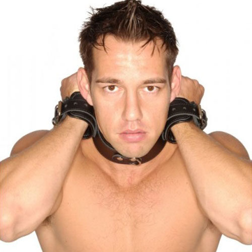 Luxury Neck To Wrist Restraint System - Image 5